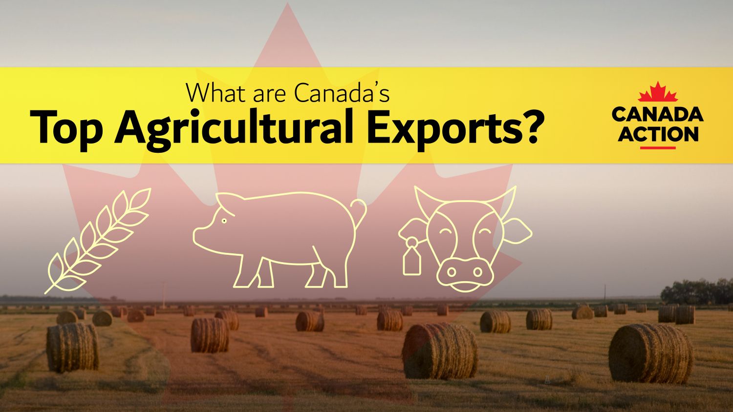 What are Canada's top agricultural exports