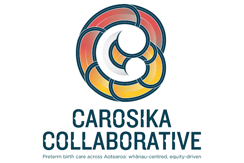 Carosika Collaborative - image