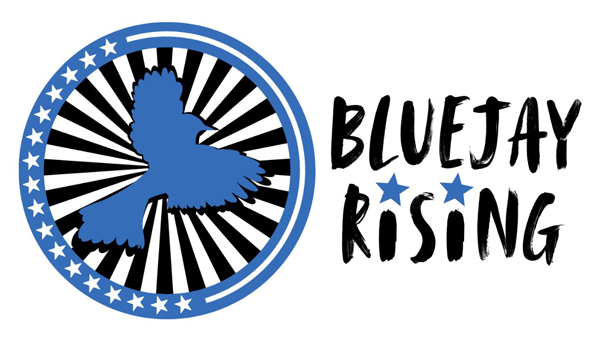 Bluejay Rising Logo