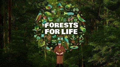 forestsforlife.jpg