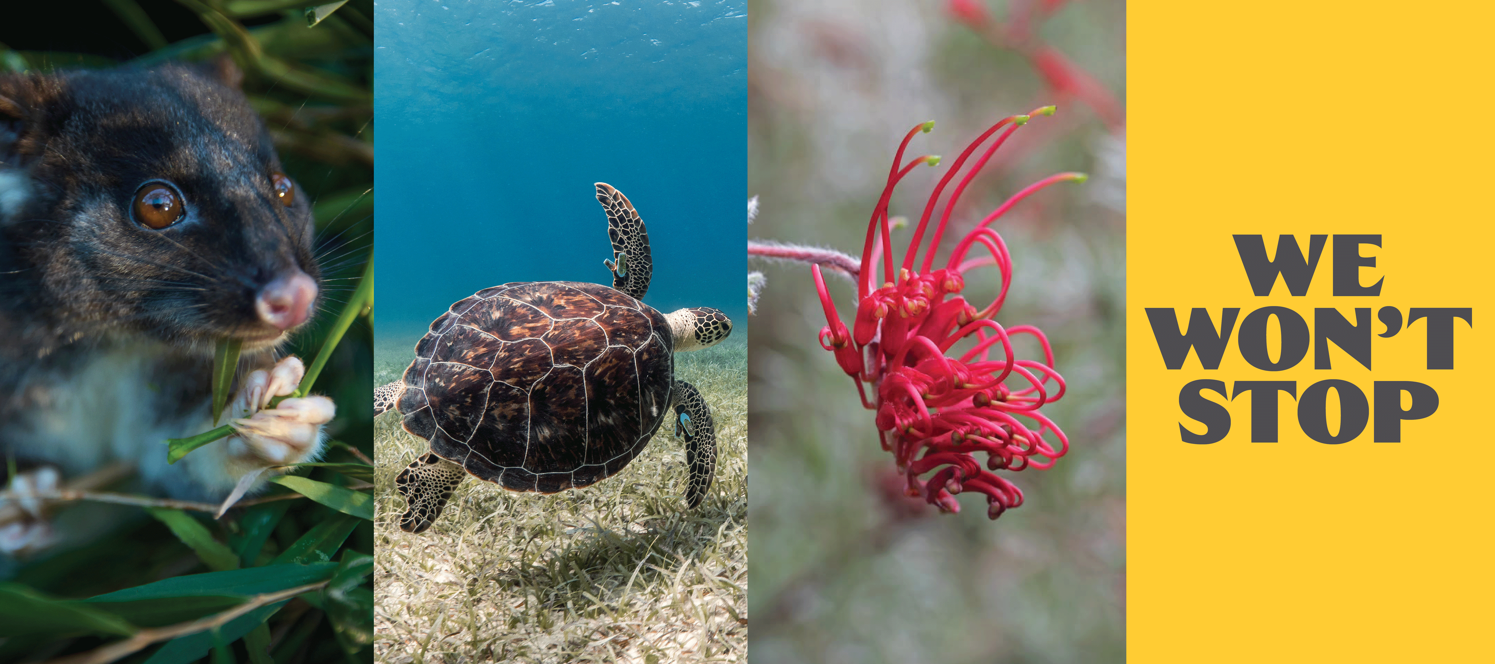 Sign The Open Letter