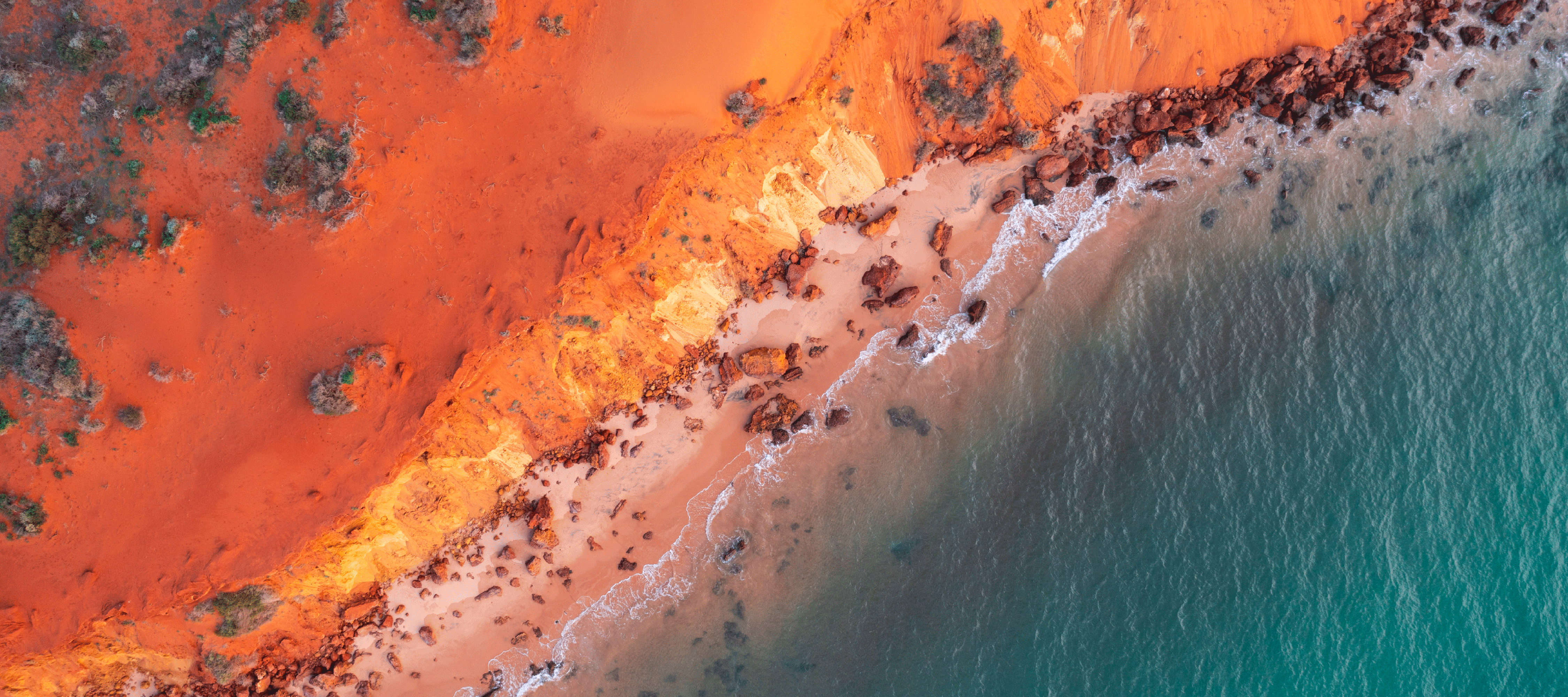 We’re seeing the destruction of nature faster than we are seeing protections