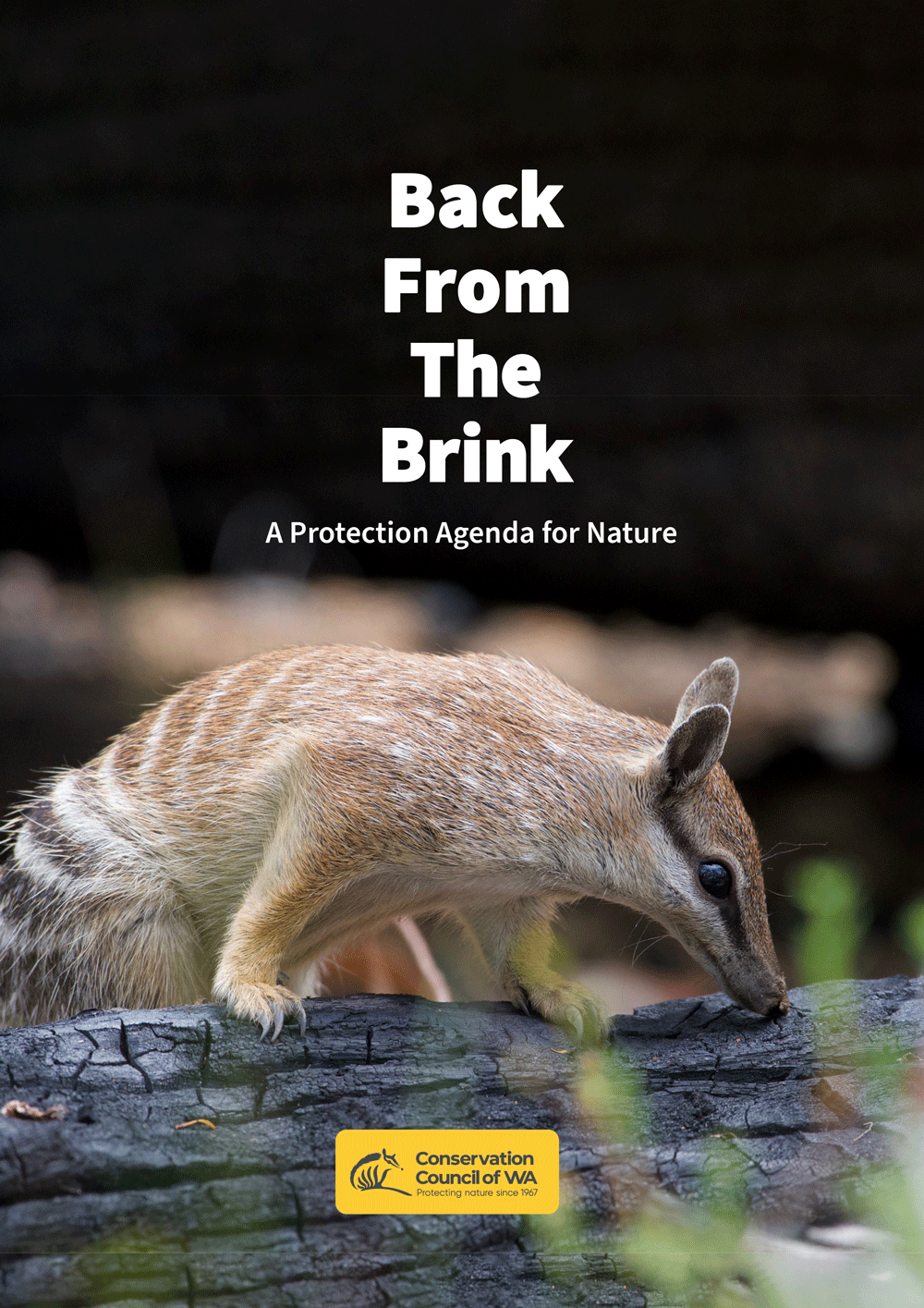 Back From The Brink cover image