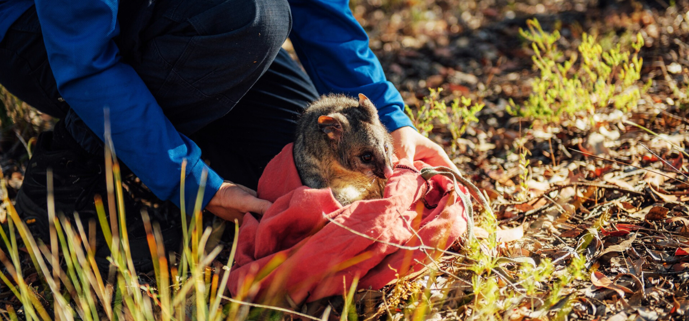 We're for science. | Get hands-on with our citizen science program.