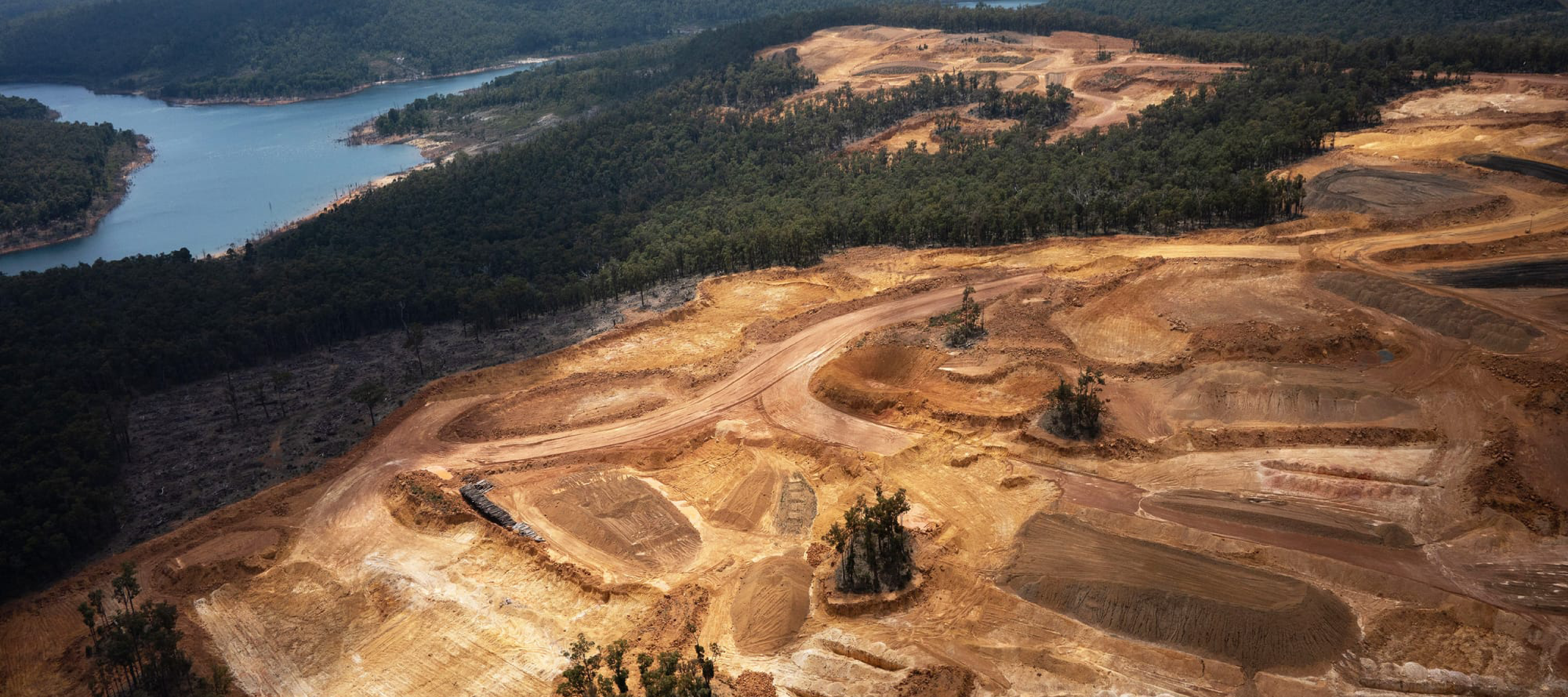 Our forests, reefs and wildlife are being destroyed at an alarming rate and our national nature laws are inadequate to stop it
