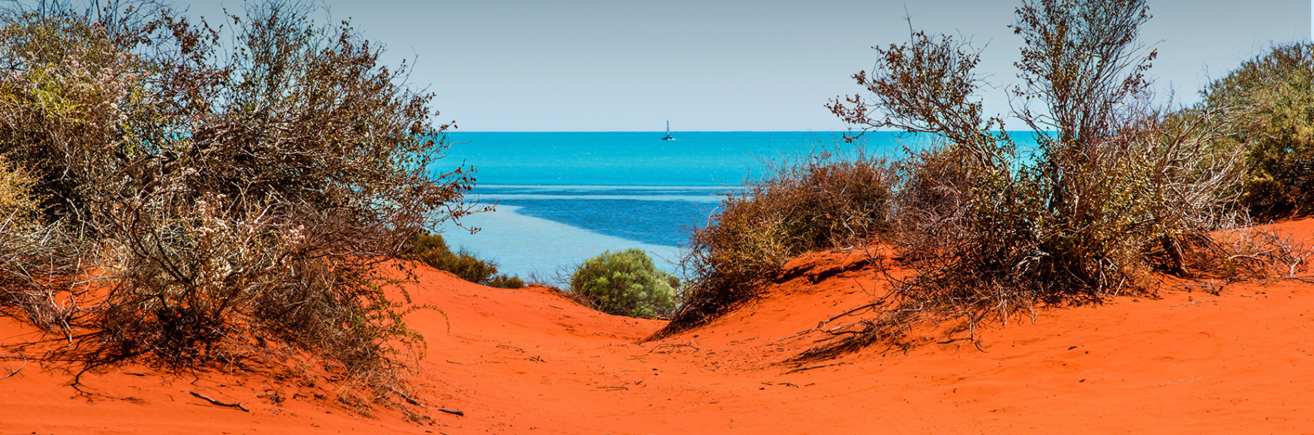 Every year, we're here for WA nature. | Check out our annual reports to find out what we've been up to.