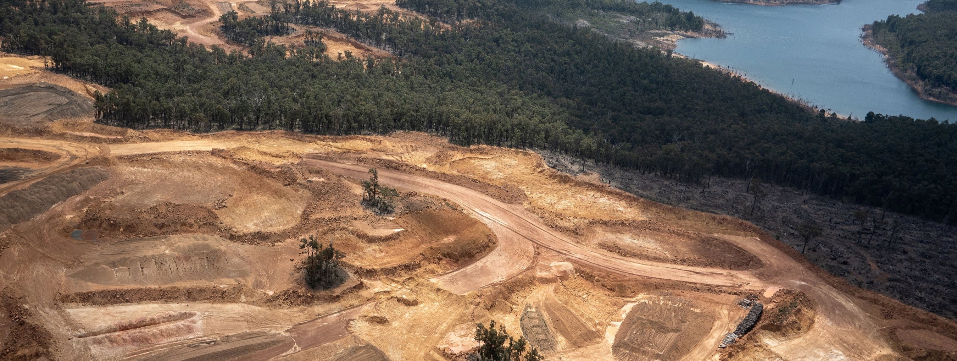 Donate today to End Forest Mining