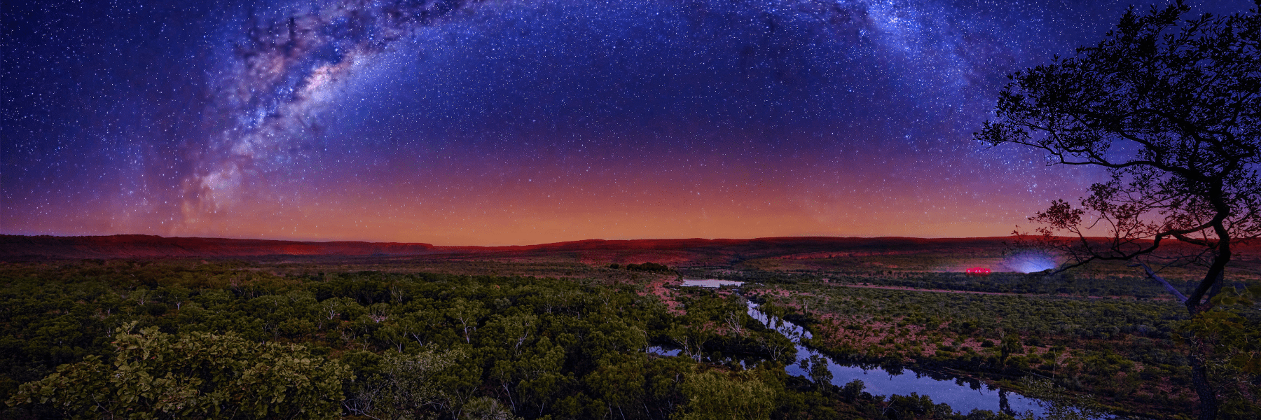 Look, listen and record wildlife for an hour after sunset to help us monitor environmental changes