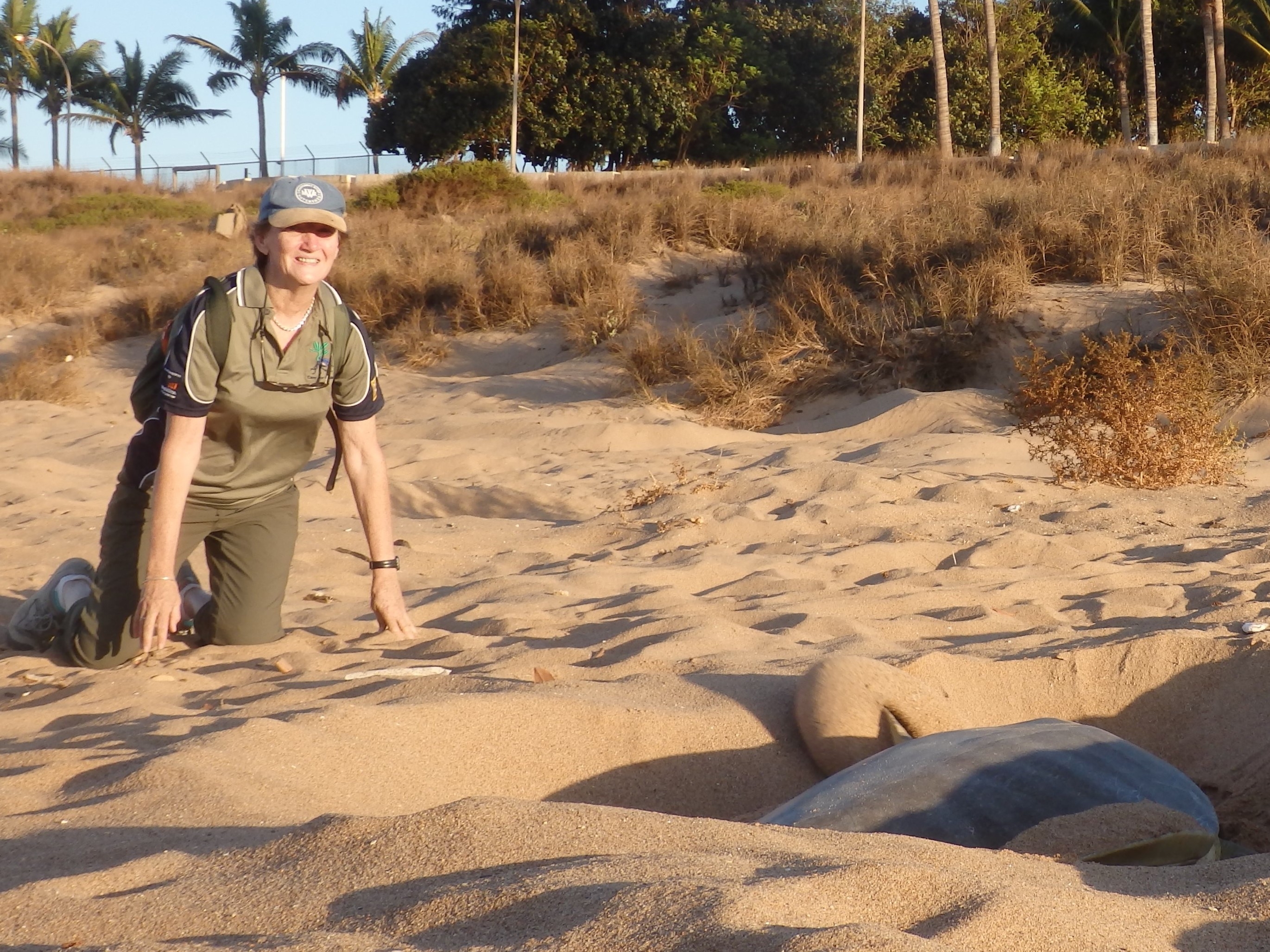 marine_turtle_conservation.JPG