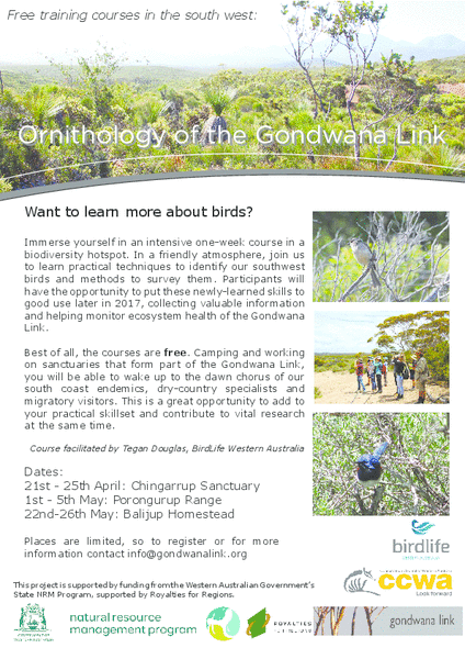 Bird_Courses_Flyer.gif