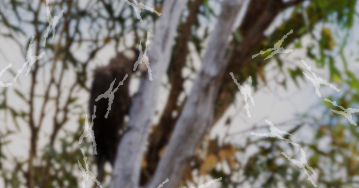 Biodiversity Conservation Act Reform