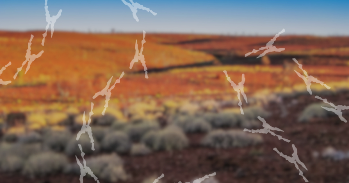 Bioregional Planning
