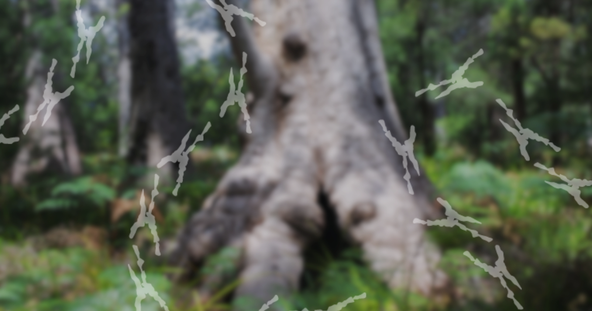Ecological Restoration and Resilience