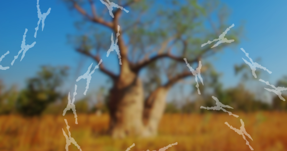 Biodiversity Audits