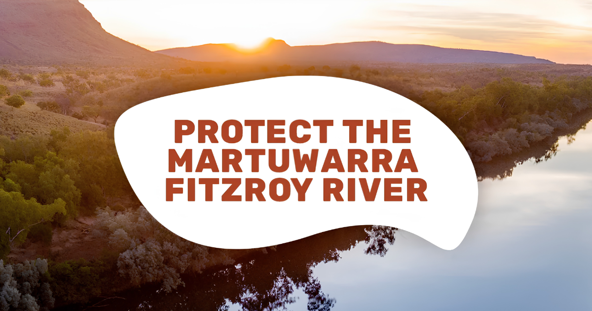 Protect the Martuwarra
