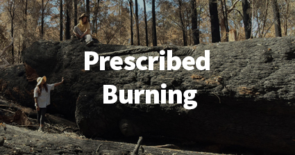 Prescribed Burning