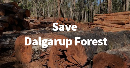 Save Dalgarup