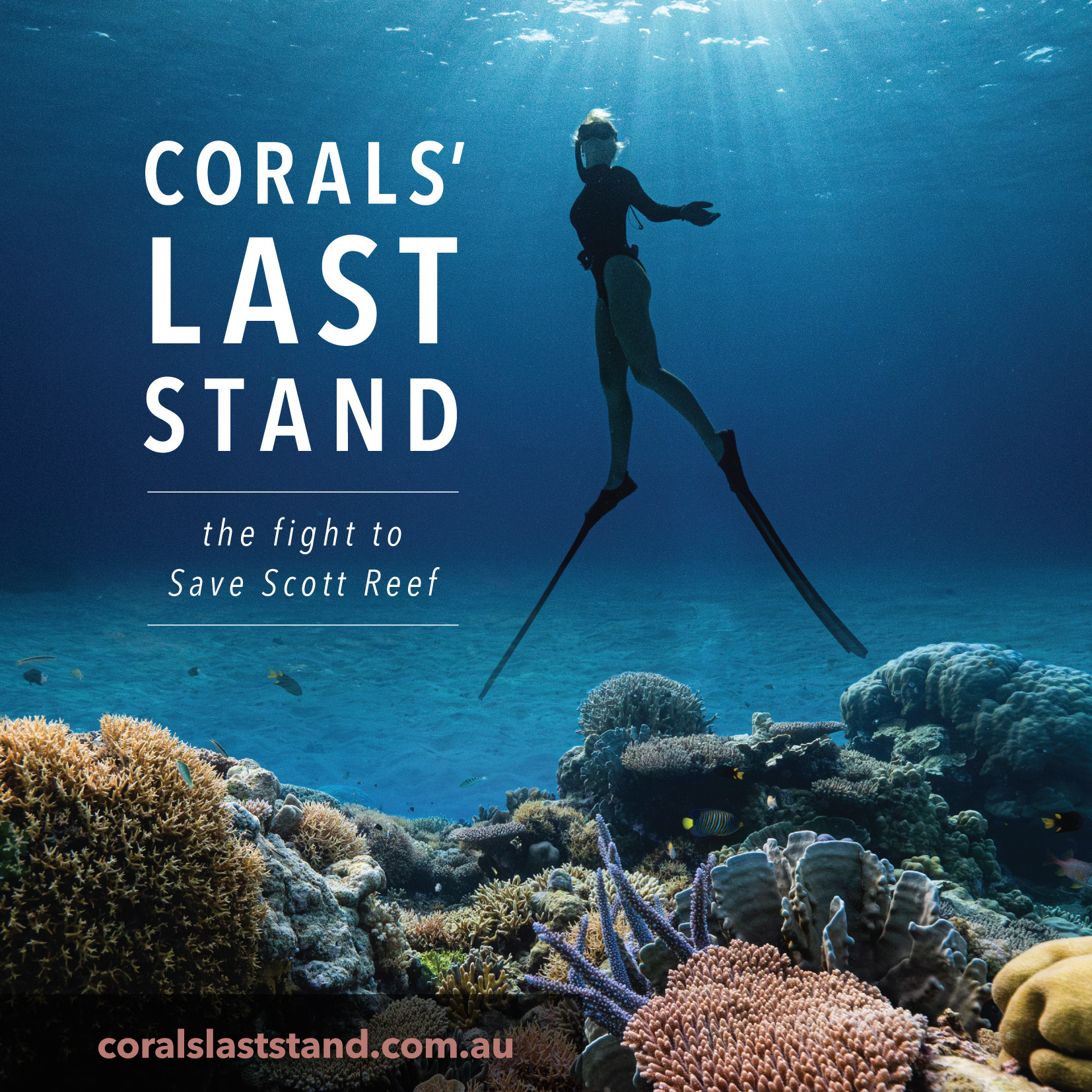 Corals_Last_Stand_Graphic.jpg