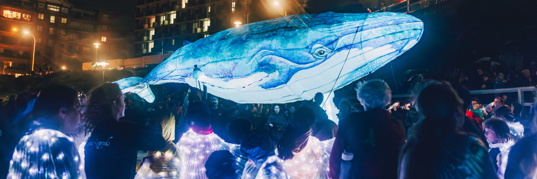 Volunteer to bring Scott Reef to life in Perth