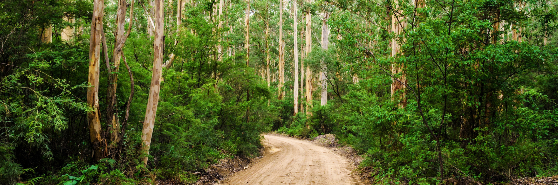 Hike for WA's Nature | Are you in?
