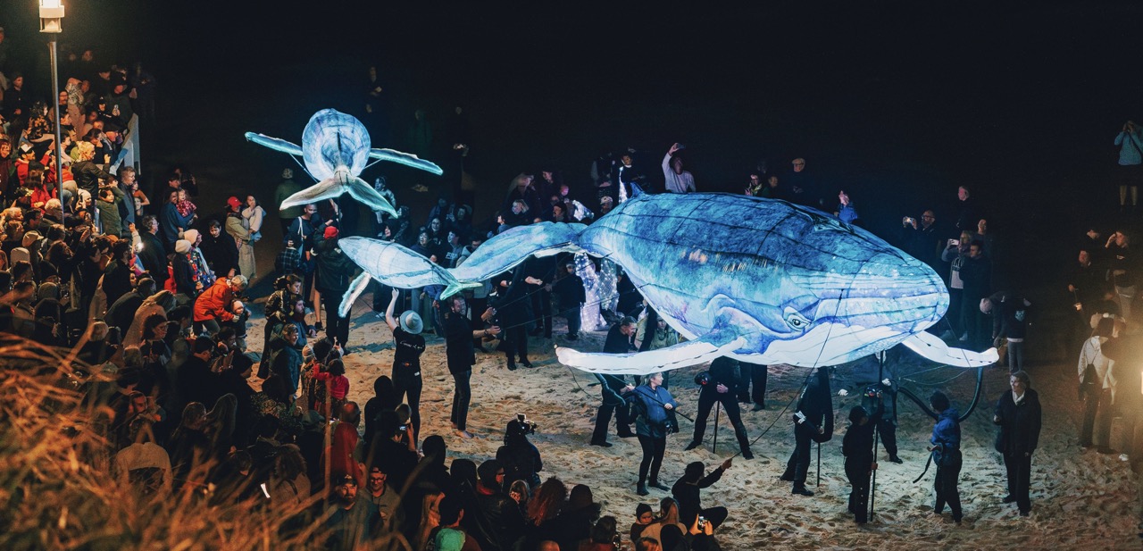See Scott Reef come alive.