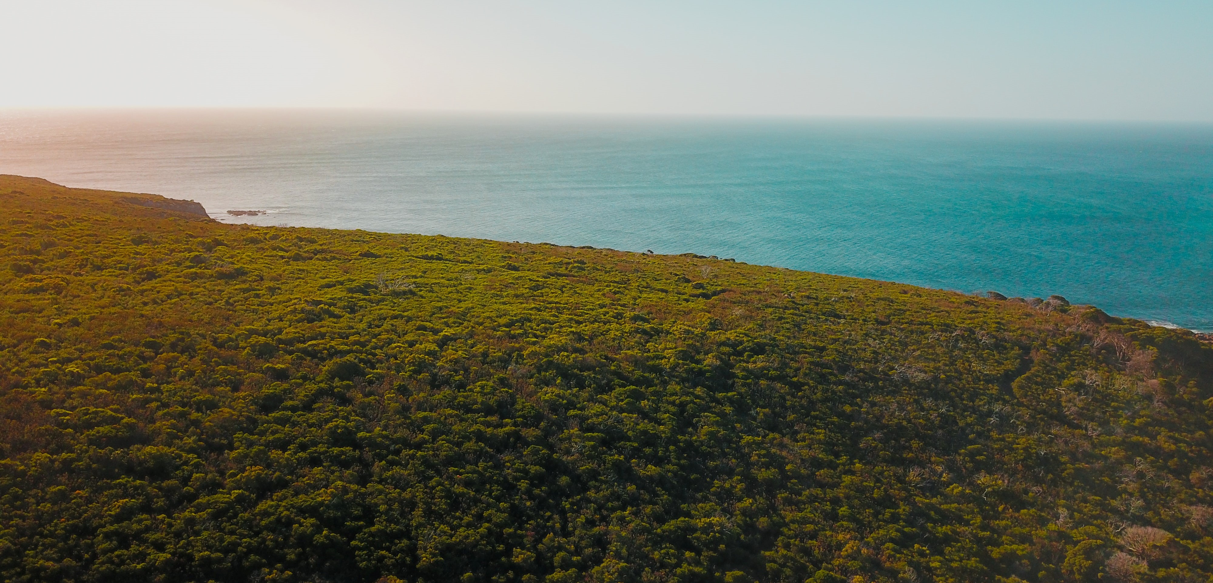 Conservation Council of Western Australia