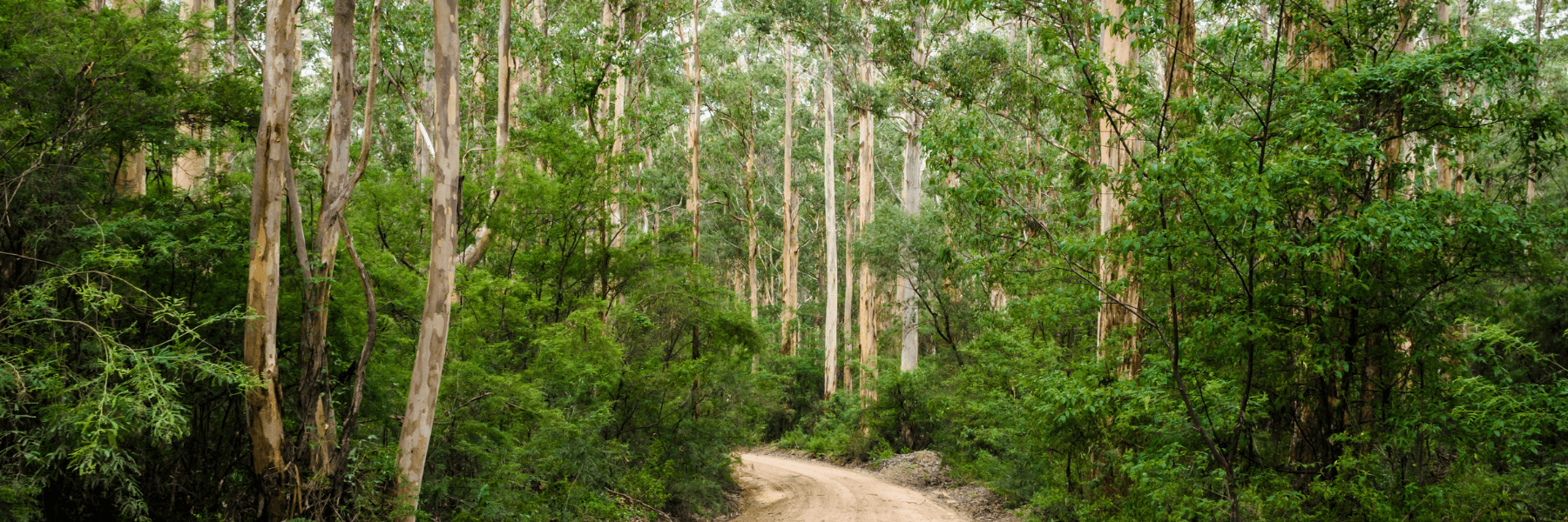 Conservation Council of WA