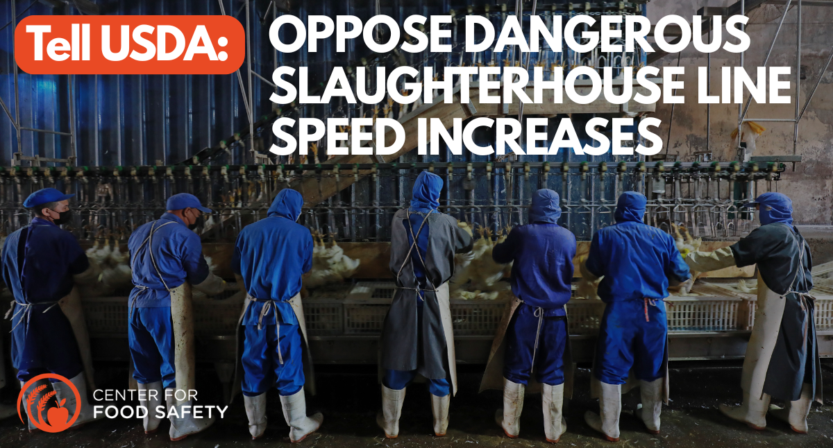 Line_Speed_Increases_Alert_Mar26_EmailSocial.png?1774442983