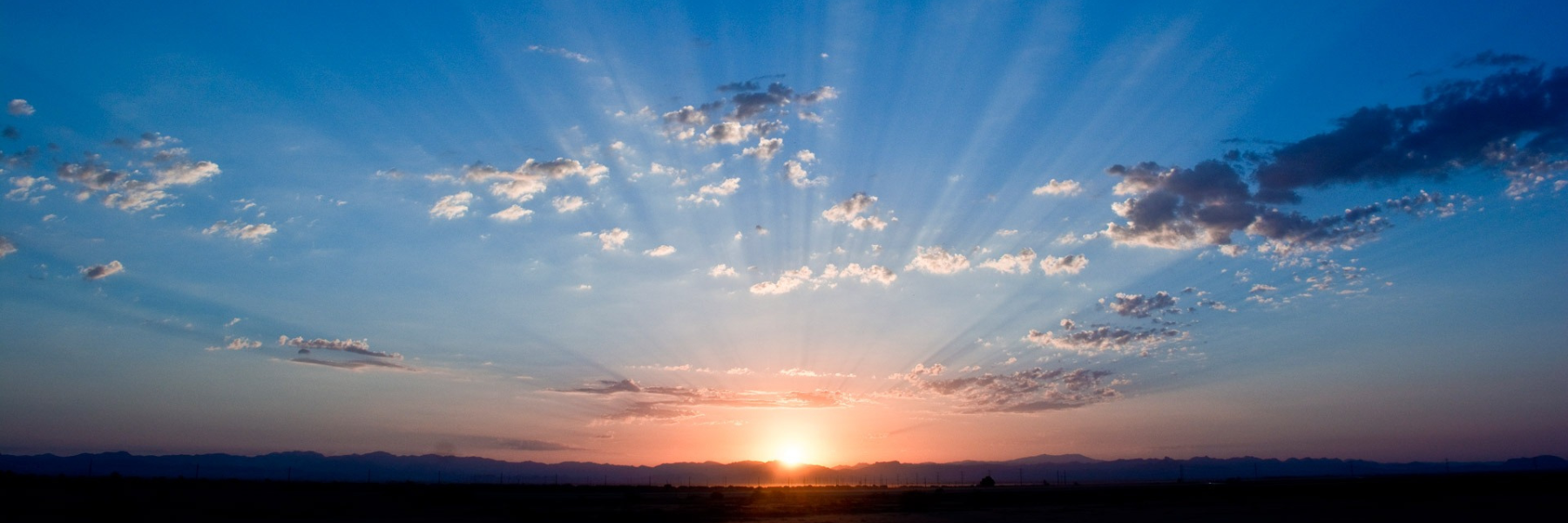 We Grow Grassroots | We set up NationBuilder accounts for your campaign to foster