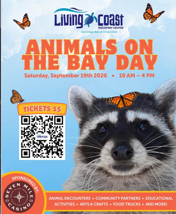 Animals on the Bay Day