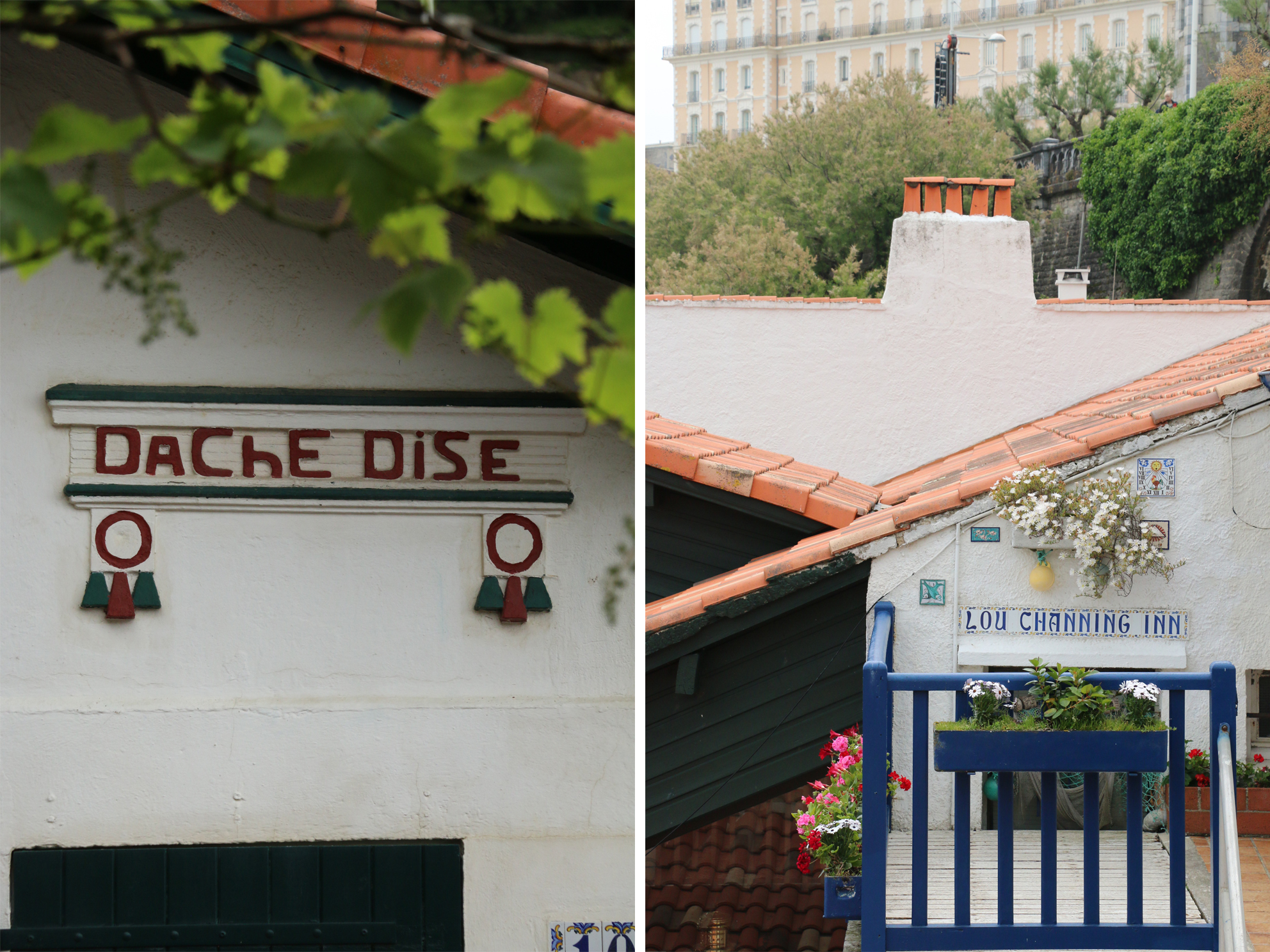 crampota_dachedise.jpg