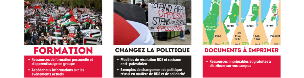 ICJ_Vote_2022_-_Email_Banner.png