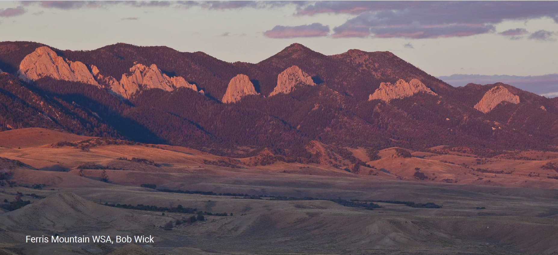 Ferris Mountain WSA