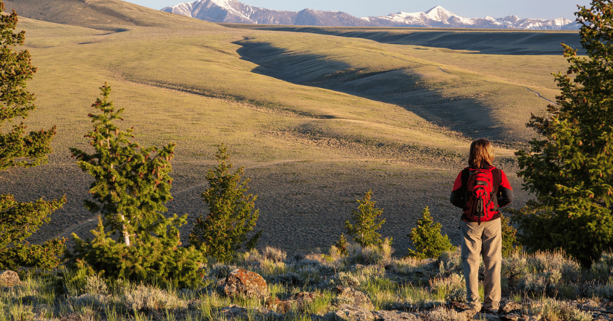 Conservation Lands Foundation Applauds Biden Administration's Decision