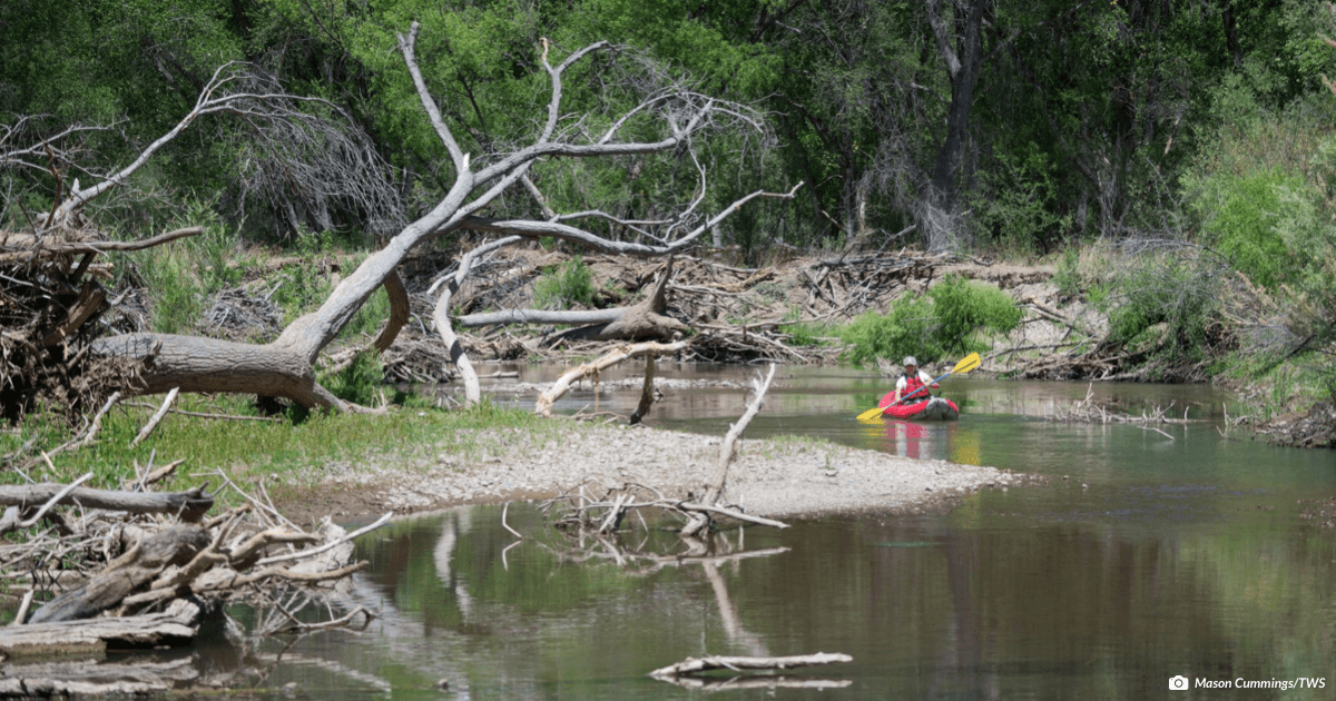 Diverse Stakeholders Applaud New Mexico Delegation for Reintroducing Legislation to Permanently Protect Gila-Area Rivers and Streams