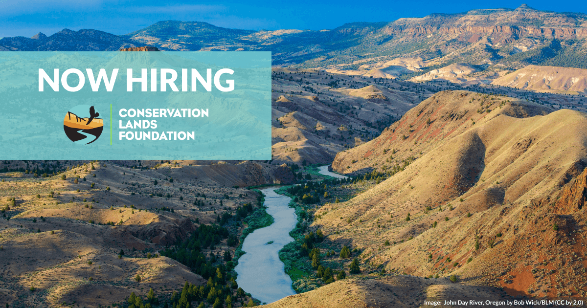 Job Posting: Chief Development Officer