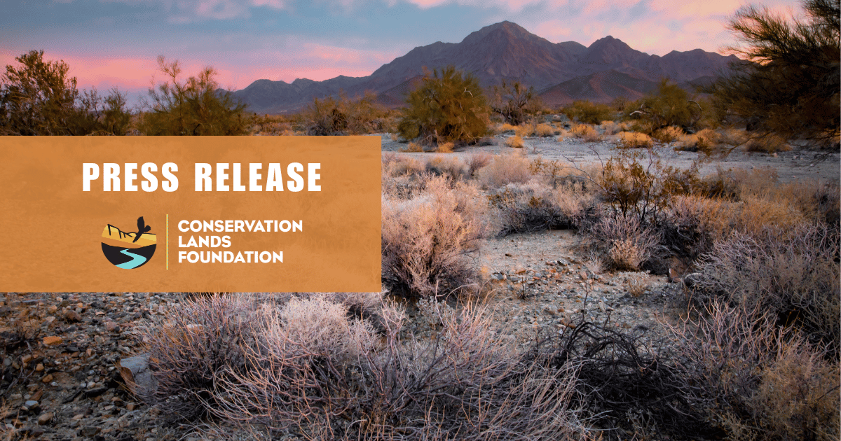 Organizations Seek to Intervene in Lawsuit to Protect Chuckwalla National Monument