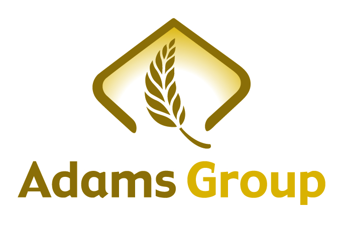 Adams_Group_Logo2.jpg