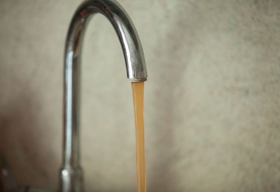 Tell the Minister of Forests to stop planned logging that will threaten drinking water for over 50,000 Vernon residents