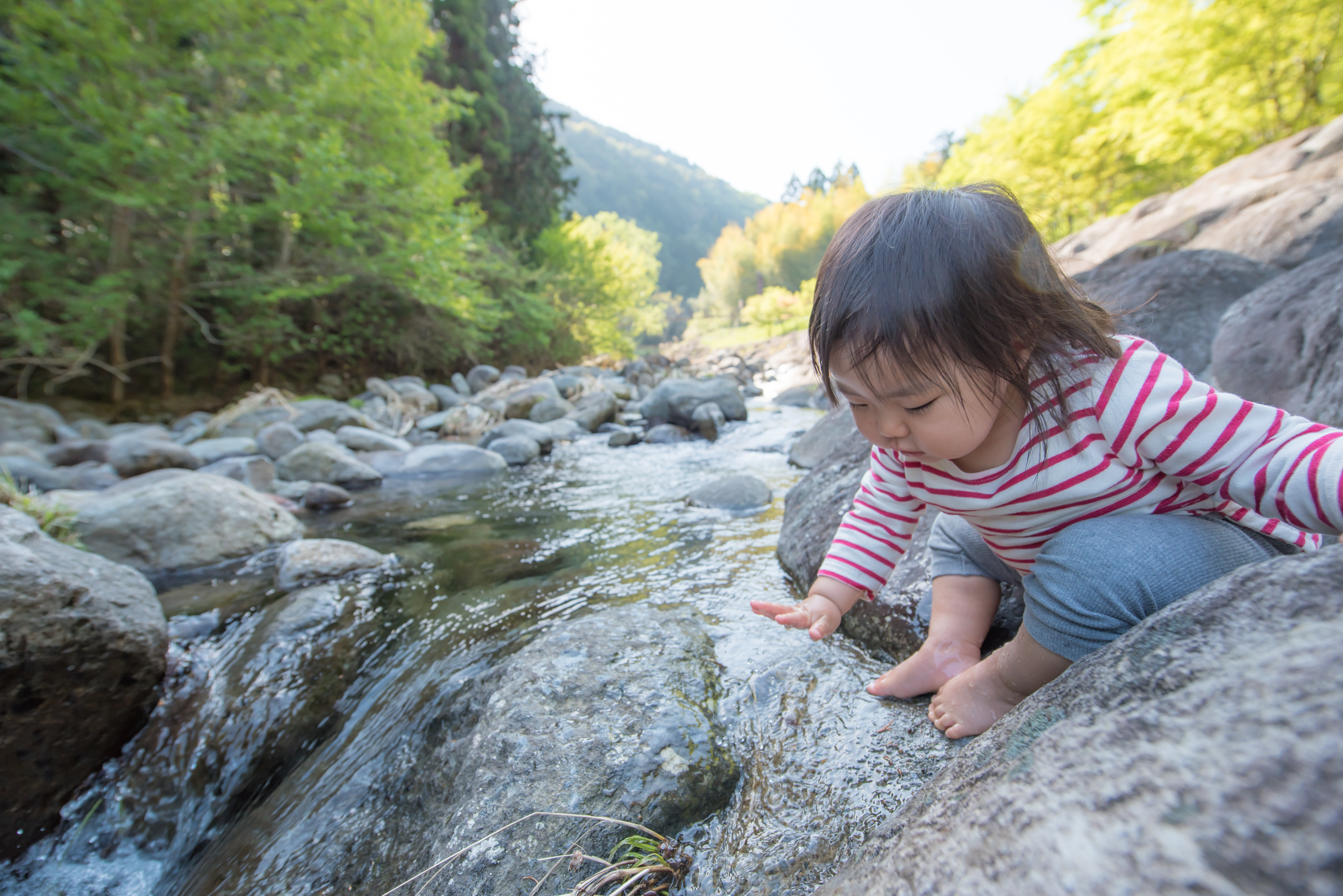 A child exploring a creek in a forested BC watershed