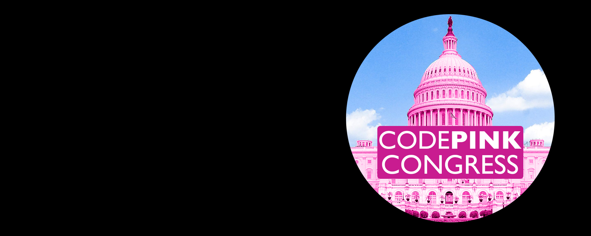 Join our Capitol Hill calling parties to mobilize peace legislation!