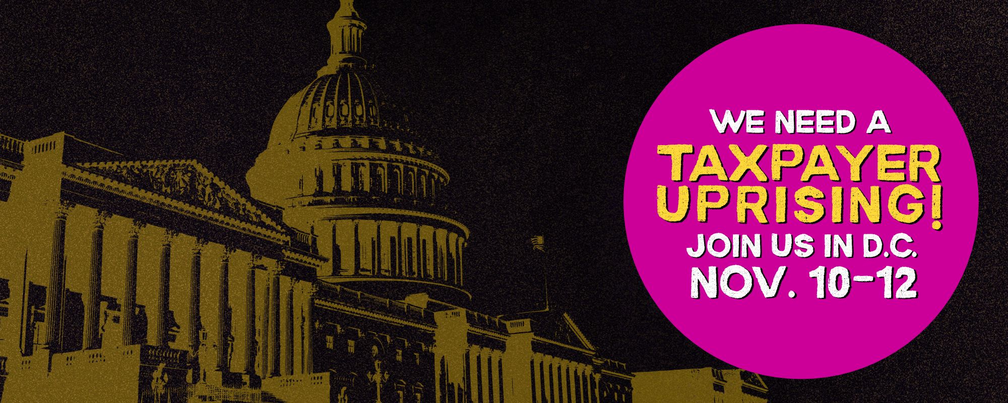 Nov 10-12. Washington, DC. Three days of peaceful resistance. We need you there.
