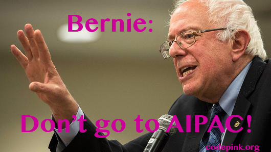 bern_aipac.jpg