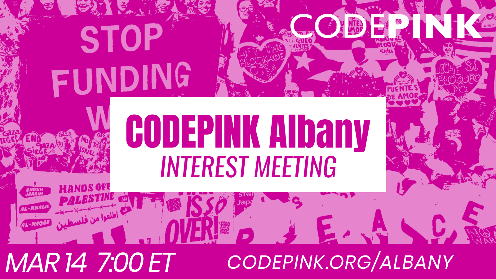 CODEPINK Albany Interest Meeting - CODEPINK - Women for Peace
