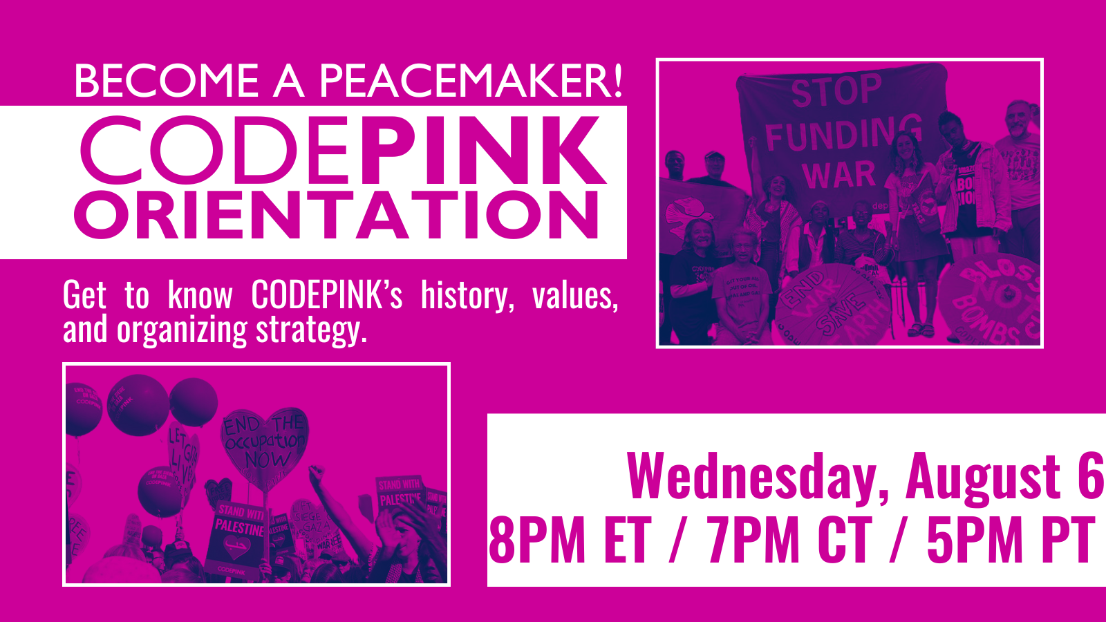 CODEPINK New Organizer Orientation - August - CODEPINK - Women for Peace