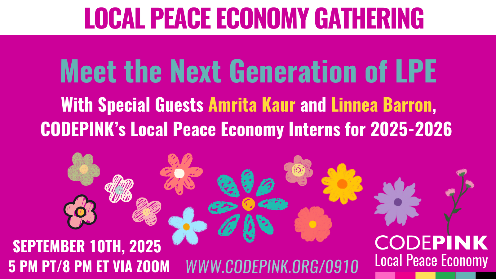 Code Pink Local Peace Economy @ RSVP