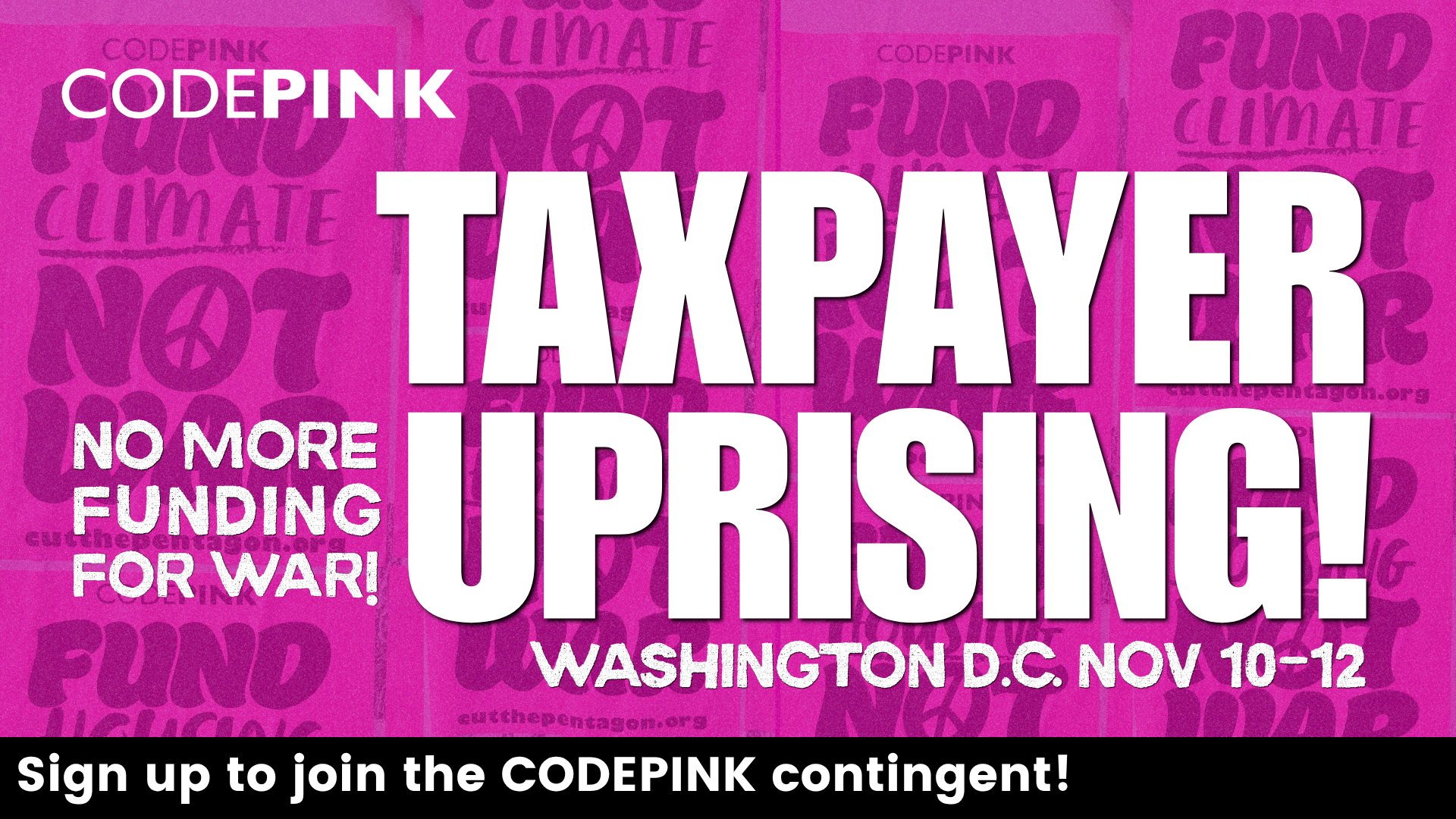 Taxpayer_Revolt__(2).png