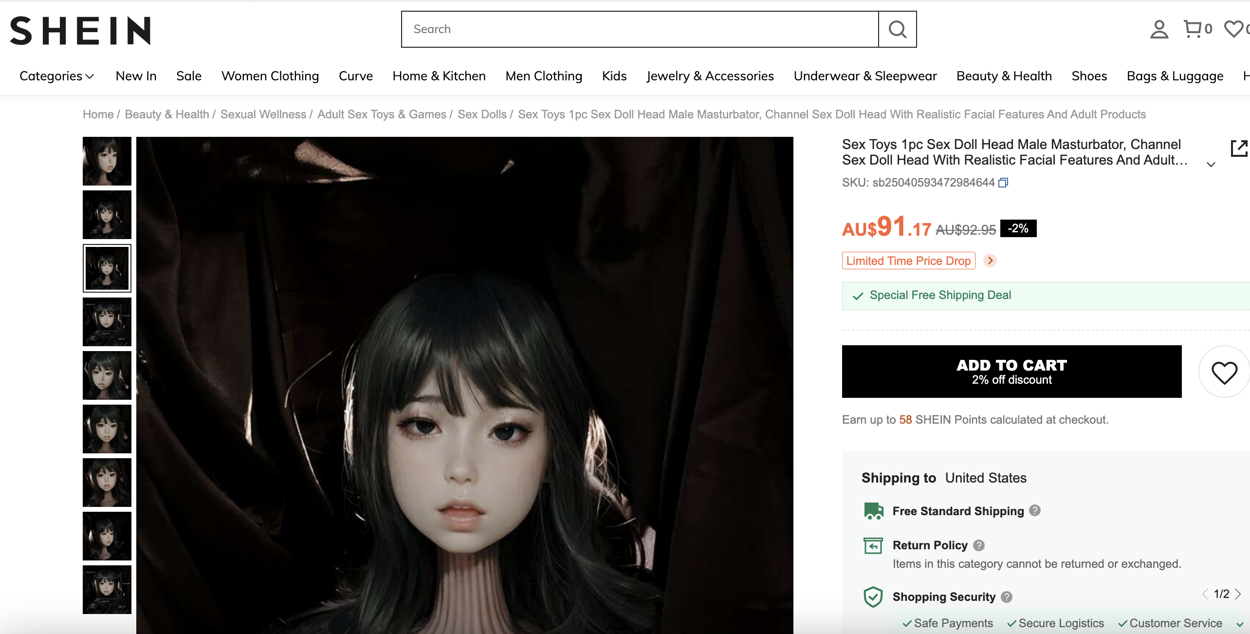 Shein_copy.png