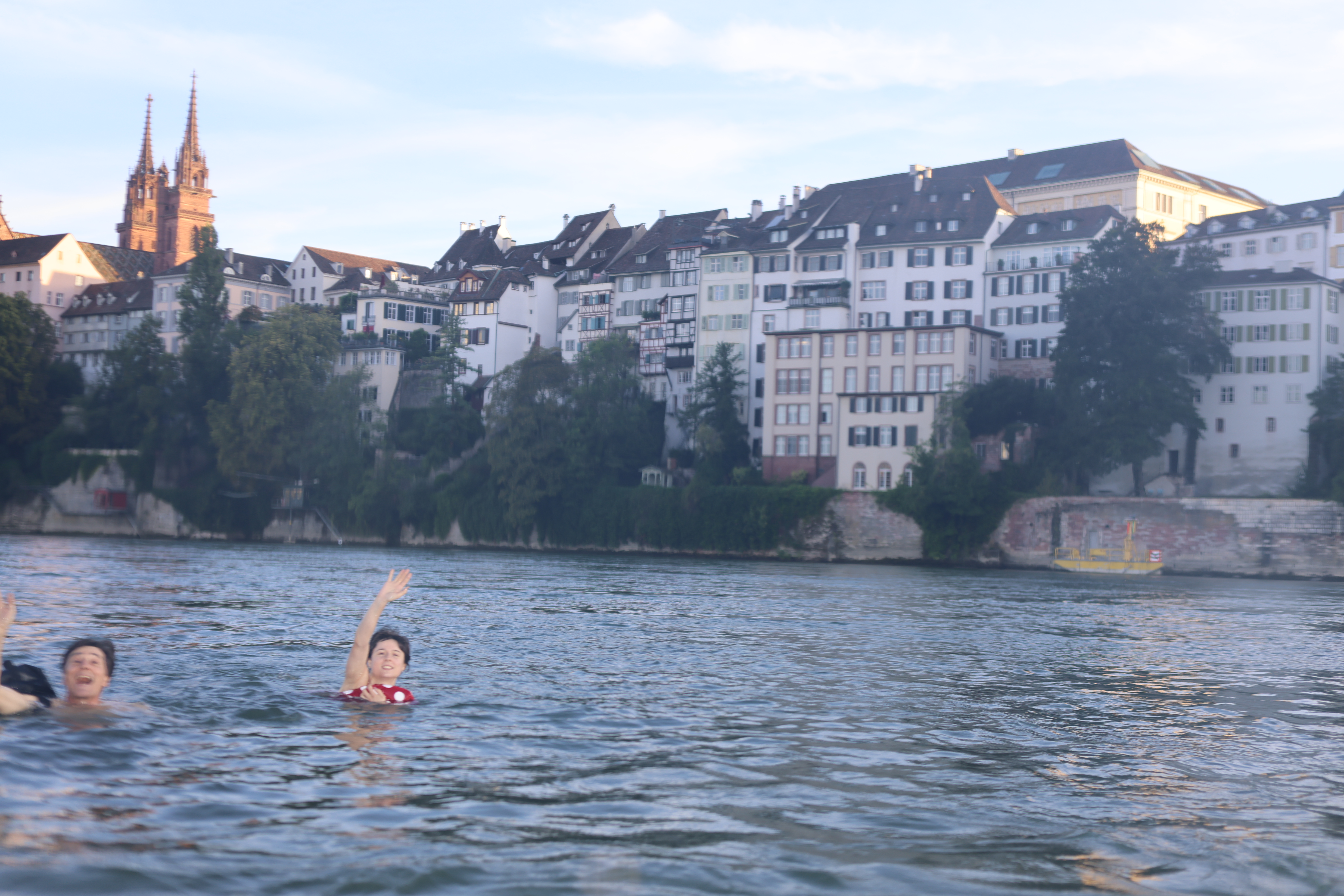 Rhine Swimming 2024 240821_CAAoS_rheinschwimmen.jpg