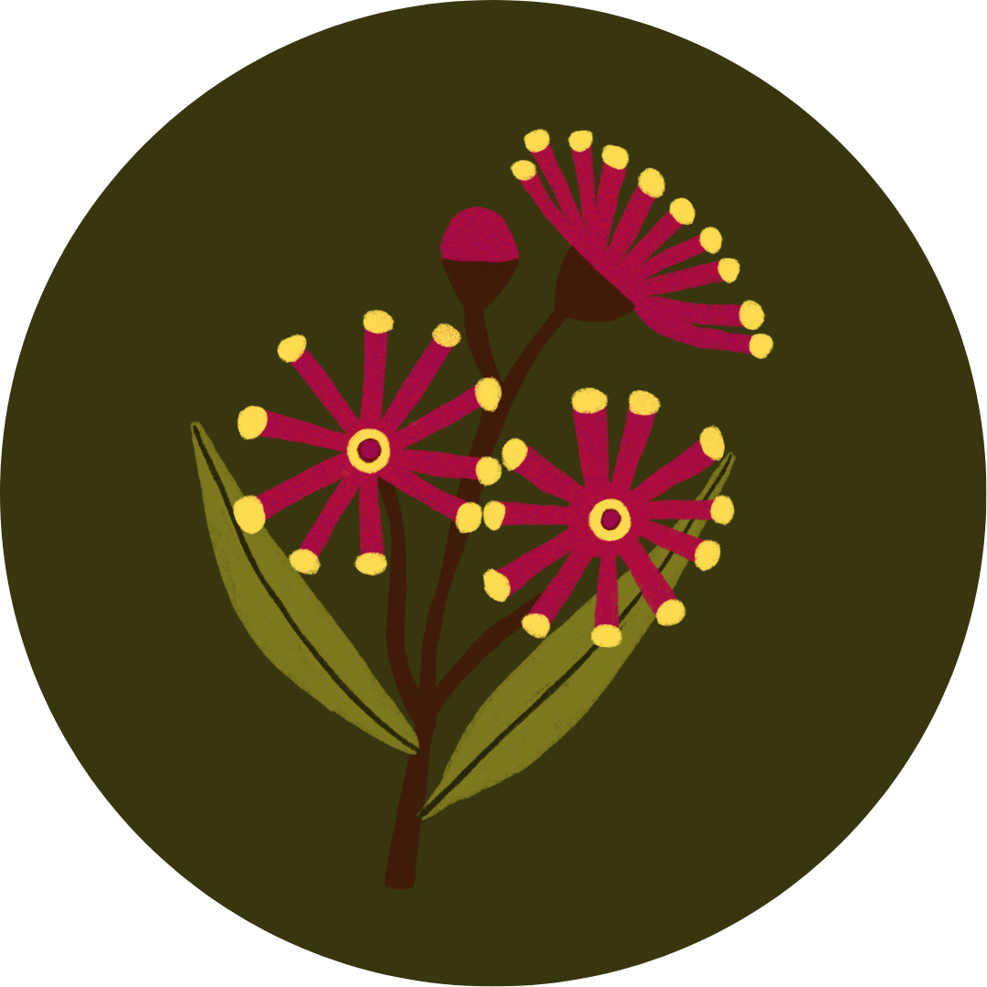 Season of Creation 2025 Resource Toolkit